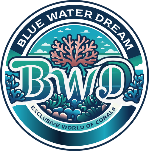 BlueWaterDream